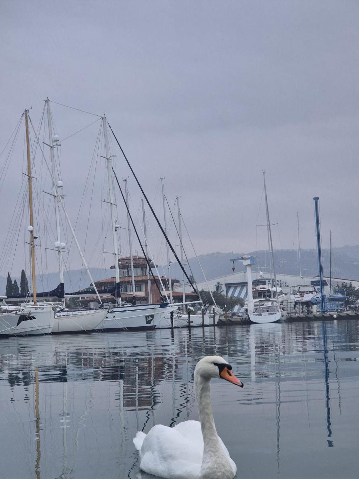 Villa Floating Sea House Aurora Portorose Esterno foto