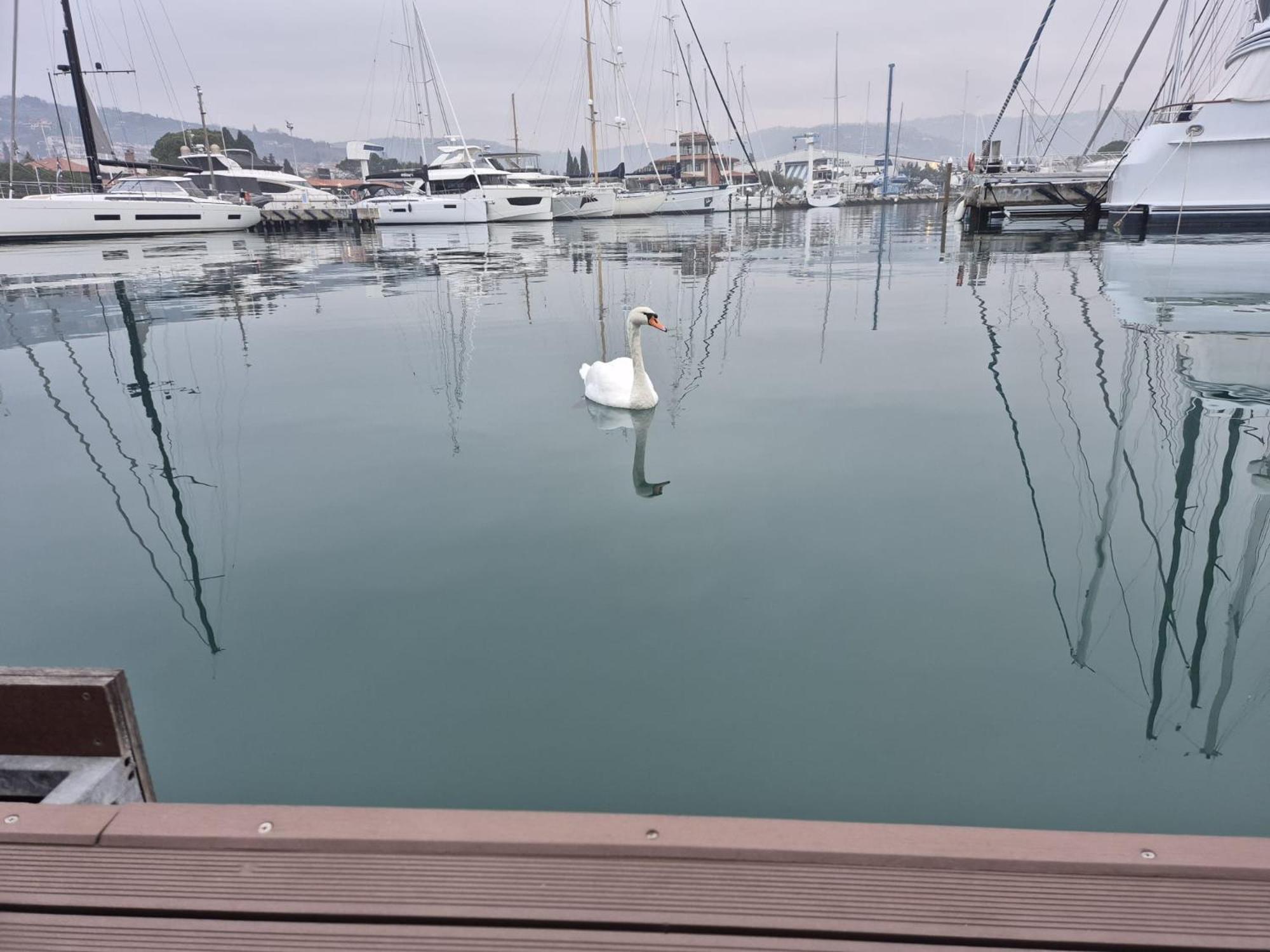 Villa Floating Sea House Aurora Portorose Esterno foto