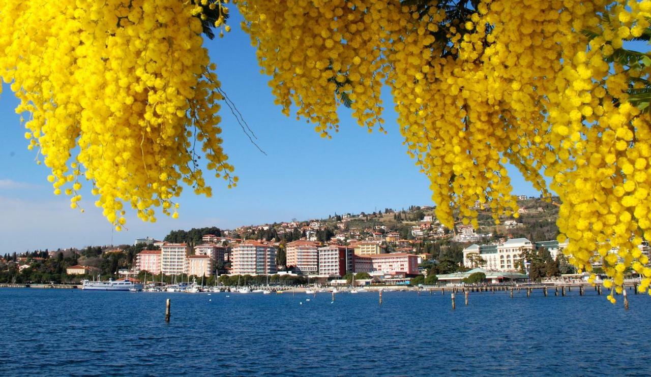 Villa Floating Sea House Aurora Portorose Esterno foto